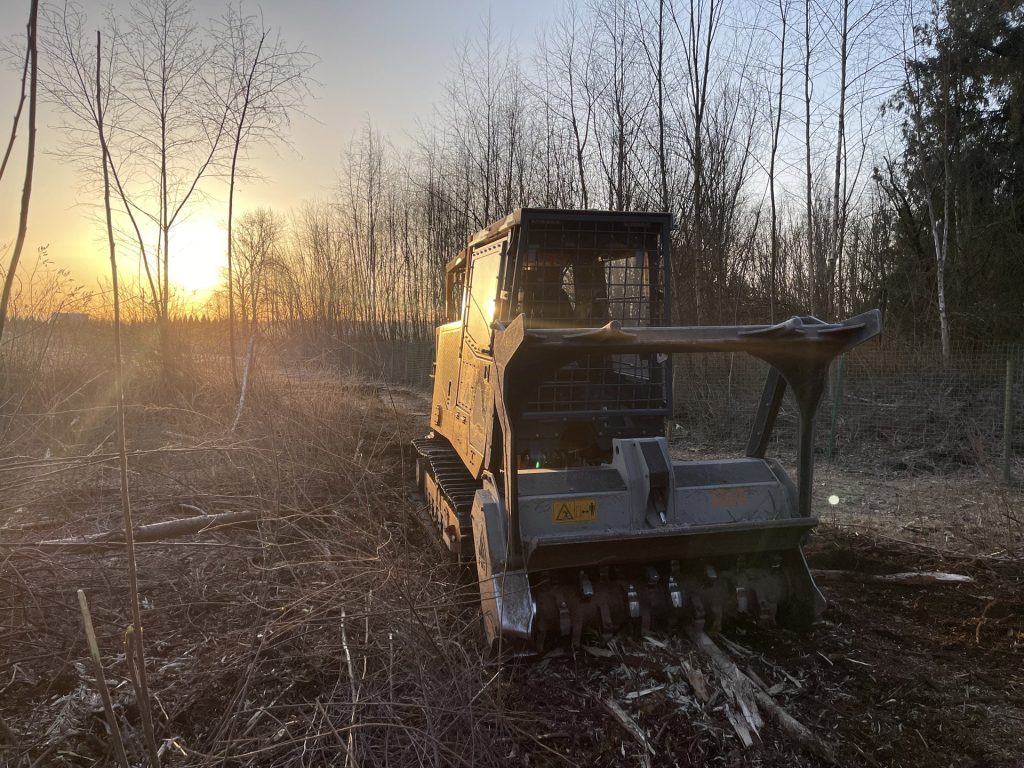 forestry mulching for land clearing