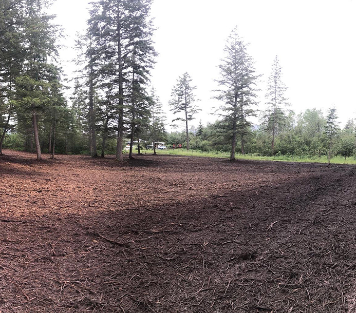 brush-control-after-1