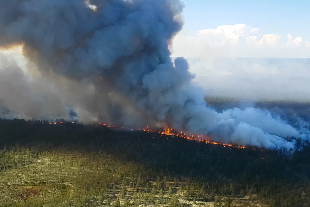 wildfire mitigation solutions